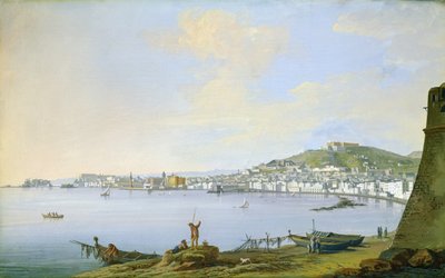 Blick auf Neapel von Saviero Xavier della Gatta